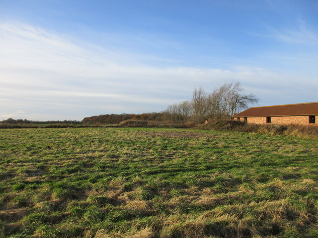 Paddock Plantation, East Riding of Yorkshire - area information, map ...