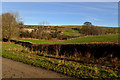 Field near Craven Ridge Lane Ends