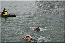 TQ4080 : Openwater swimmer, Victoria Dock by N Chadwick