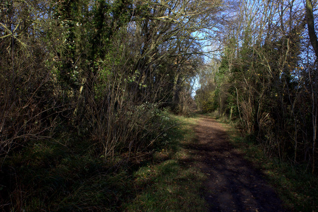 Path by Starve Goose plantation