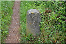 SX4948 : Admiralty boundary stone by N Chadwick