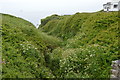 Gully (Hey Brook) at Heybrook Bay