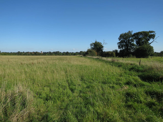Field near High Green