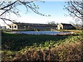 Pond, Seaton Village Farm