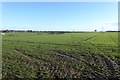 Farmland off Wetherby Road