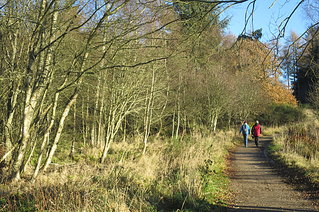 Path in Deuchny Wood
