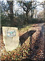 Boundary stone of the Borough of Llantrisant, Castellau Rd