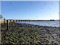 Shotley Pier