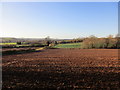 The valley of the Dover Beck