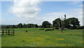 Pastures by Farley Farm, Farley Chamberlayne