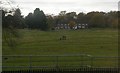 Wallers Grove and Gippeswyk Park, from the railway
