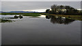 Flooded golf course, Dornoch