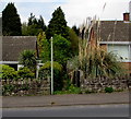 Public footpath from Allaston Road to Ten Acre Wood, Lydney