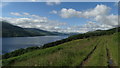 NN7144 : View SW along Loch Tay from track W of Boreland, Fearnan by Colin Park