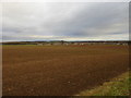 View towards Mansfield Woodhouse