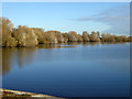 Abberton Reservoir