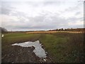 Field by Grubbs Lane, Woodside