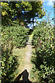 Footpath to Mount Pleasant