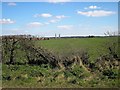 Clipstone Intake Wood