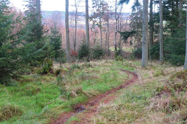 Path in Cademuir Forest