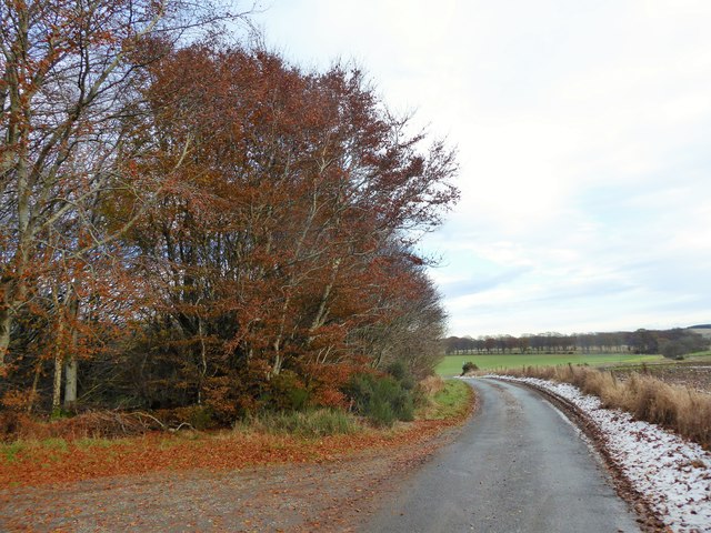 Minor road to Balgove