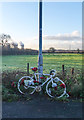 Ghost Bicycle, Bold Heath