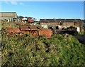 Ballochmartin Farm - Isle of Cumbrae