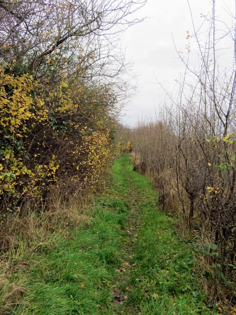 Footpath from South Hinksey