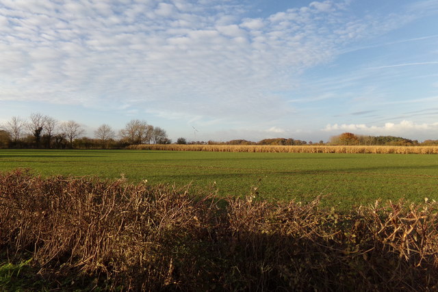 Farmland off Weavers Marsh Lane