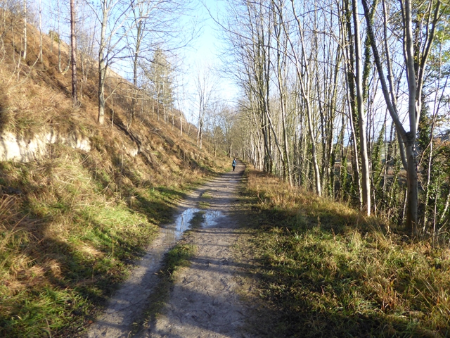 Path along the south side of the Spetchells