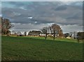 A view of Bull Close Farm