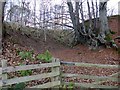 Entrance to the disused Laggan Quarry