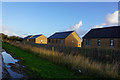 Houses on Eleanor Avenue, Bridlington