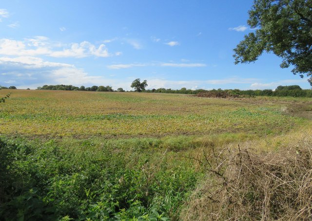Field north of Hoby Road