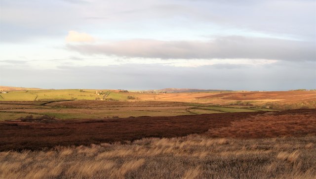 A moorland patchwork