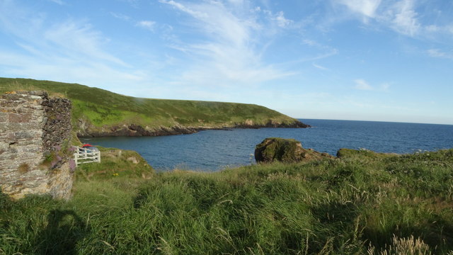 View over Goat Island towards Ardoginna Head, Co Waterford