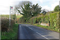 Road east of East Meon