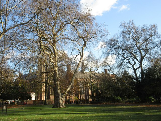 Lincoln's Inn Fields - East side