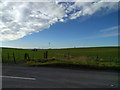 Fields and track at Greenland Farm