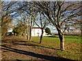 Tree-lined drive to Melwood Grange