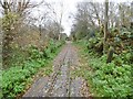 Leighton Buzzard Railway