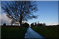 Mid Devon : Country Lane