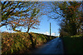 SS8112 : Mid Devon : Country Lane by Lewis Clarke