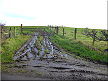 H5774 : Muddy entrance to field, Mullaghslin Glebe by Kenneth  Allen