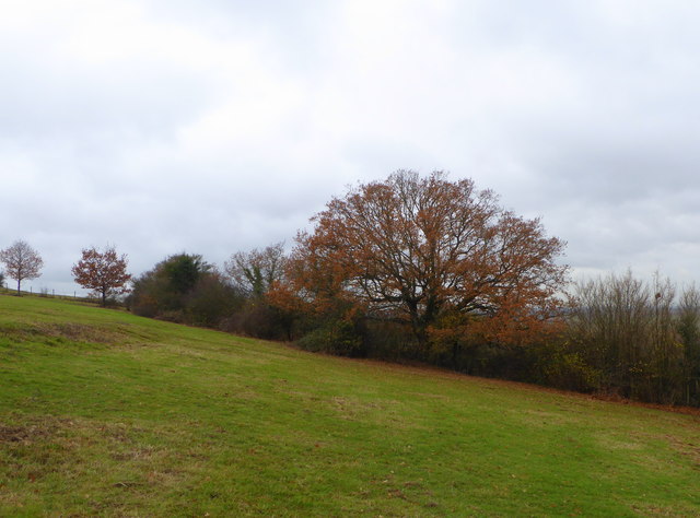 Wraik Hill Nature Reserve, near Whitstable