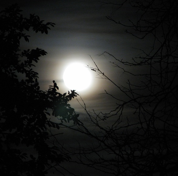 A full cold moon