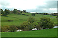 Towards Bromley Farm