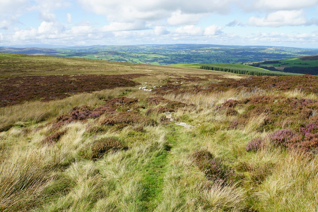 Path descending from Moel Pearce © Bill Boaden :: Geograph Britain and ...