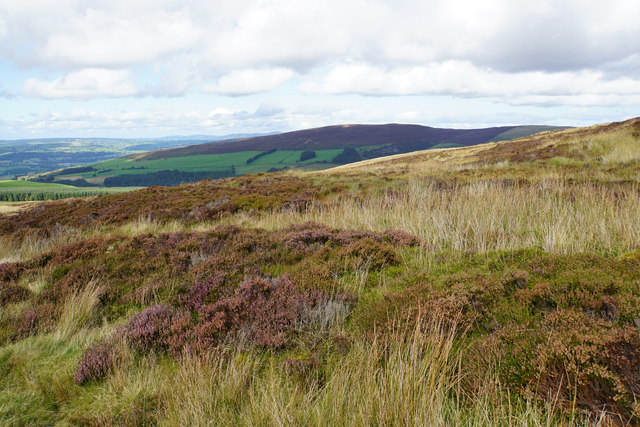 The northern side of Moel Pearce © Bill Boaden cc-by-sa/2.0 :: Geograph ...