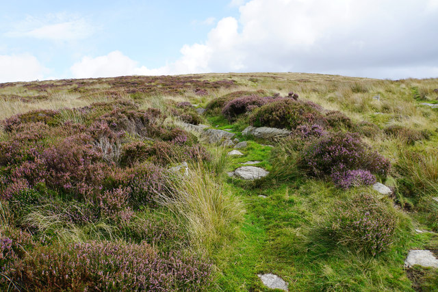 Path up to Moel Pearce © Bill Boaden cc-by-sa/2.0 :: Geograph Britain ...